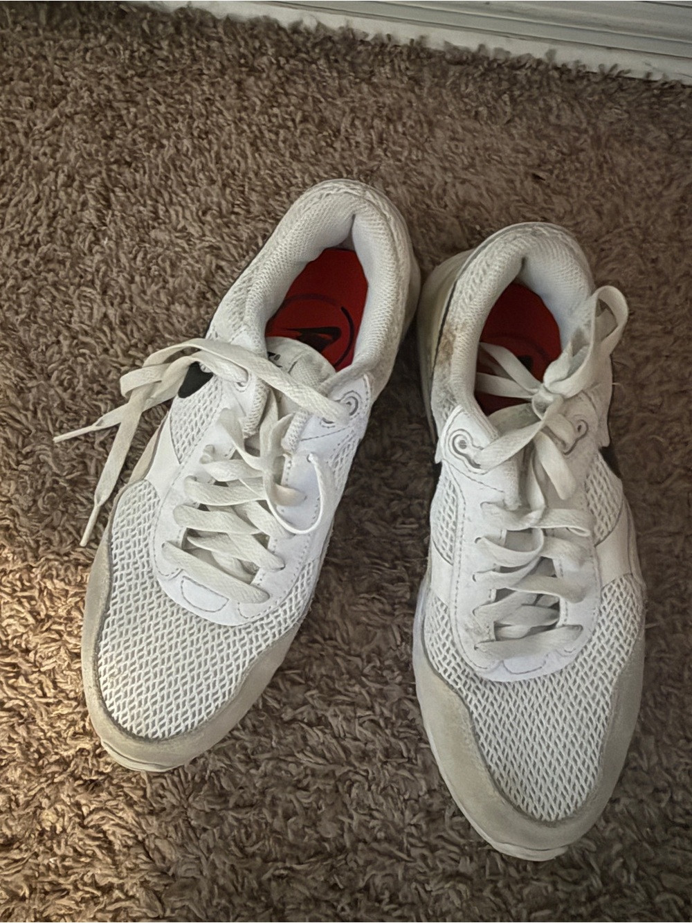 Nike Air Max Sneakers